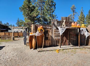 Gold Rush Mining Company Adventures