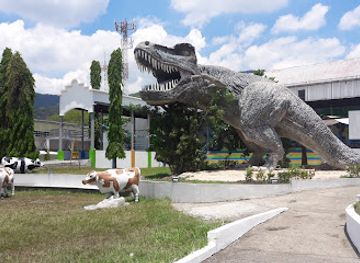 honduras/puerto-cortes/attraction/the-little-sula-children-s-museum