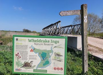 united-kingdom/yorkshire-and-the-humber/attraction/wheldrake-ings-nature-reserve