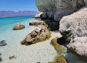 mexico/baja-california-peninsula/attraction/isla-del-carmen