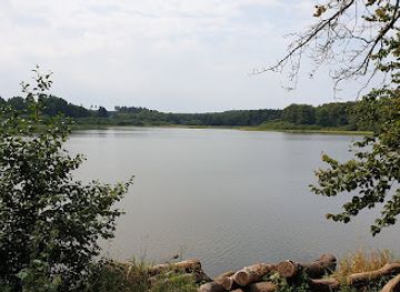 germany/westerwald/attraction/haidenweiher