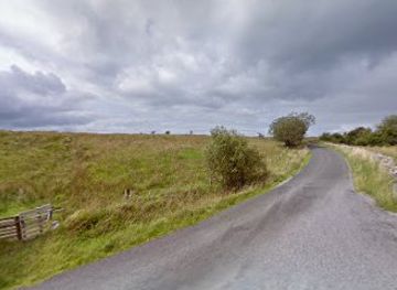 ireland/the-burren/attraction/entrance-to-the-burren-forest