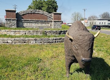 tennessee/nashville/attraction/buffalo-statues