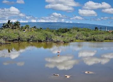 ecuador/galapagos-islands/attraction/flamigo-lagoon