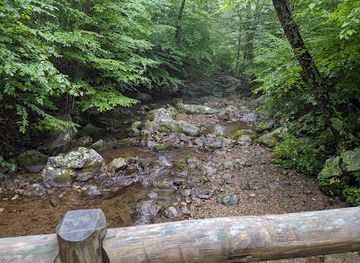 virginia/shenandoah-national-park/attraction/rapidan-camp
