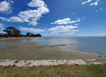 new-zealand/abel-tasman-national-park/attraction/janie-seddon-shipwreck