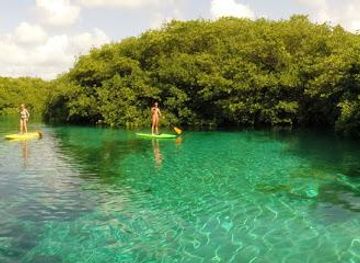 mexico/tulum/attraction/extreme-control-adventures-tulum-paddleboarding-kitesurfing