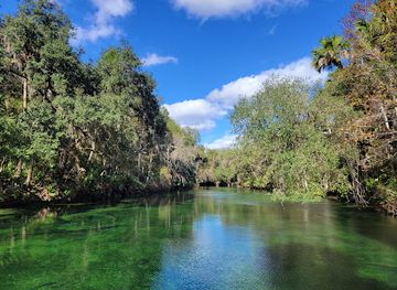 florida/nature-coast/attraction/blue-spring-state-park