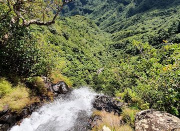 mauritius/seven-coloured-earths/attraction/mare-aux-joncs-black-river-gorges-mauritius-waterfall
