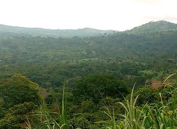 togo/agbodrafo/attraction/danyi-kpeto