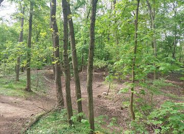 czechia/moravia/attraction/wilson-forest-park