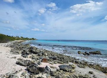 curacao/klein-curacao/attraction/andrea-ii-dive-site-22