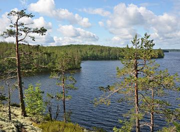 finland/finnish-lakeland/attraction/saimaa-geopark-suomensalo-esker-terrain