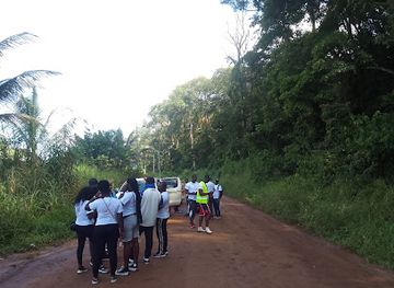 gabon/akanda-national-park/attraction/la-marche-pro-libreville