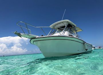 puerto-rico/san-juan/isla-verde/attraction/zipline-tours-in-puerto-rico