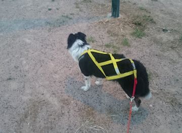 spain/badajoz/attraction/monumento-al-heroe-del-baluarte-de-la-trinidad