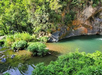 puerto-rico/dorado/attraction/charco-los-peces
