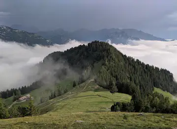 Chemi