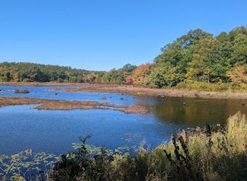 rhode-island/burlingame-state-park/attraction/woody-hill-management-area