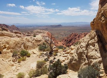 nevada/red-rock-canyon-national-conservation-area/attraction/calico-view