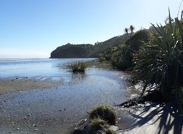 new-zealand/west-coast/attraction/harihari-coastal-walkway