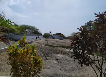 Zoocriadero de Cocodrilos