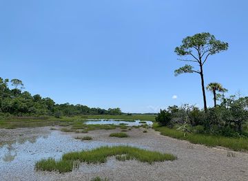 south-carolina/kiawah-island/attraction/marsh-island-park-view-tower-kiawah-conservancy