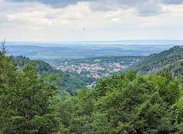 germany/harz-national-park/attraction/winterbergklippe