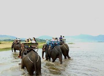 vietnam/buon-ma-thuot/attraction/lak-lake