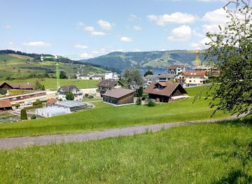 switzerland/uri/attraction/hohle-gasse-kussnacht