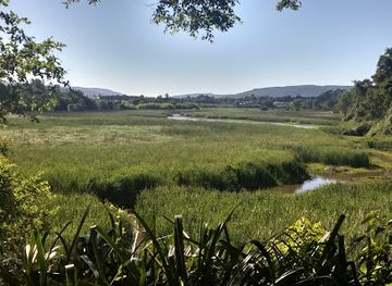 chile/valdivia/attraction/humedal-angachilla