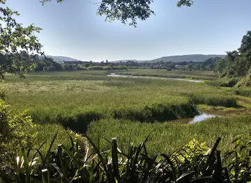 Humedal Angachilla