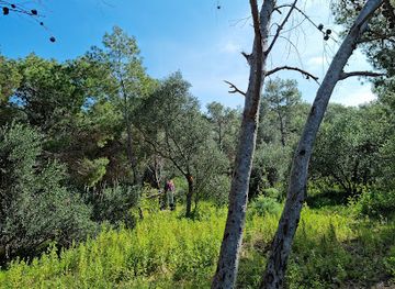 malta/popeye-village/attraction/public-nature-reserve