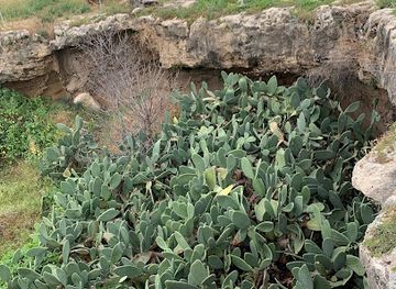 cyprus/tombs-of-the-kings/attraction/early-hellenistic-pebble-mosaic-floor