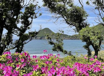 japan/yakushima/attraction/hamayu-no-oka