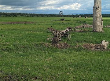 kenya/kilimanjaro-region/attraction/rongai-gate-ol-pejeta-conservancy