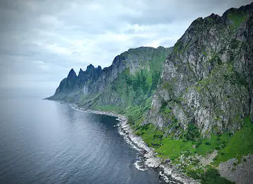 Tungeneset
