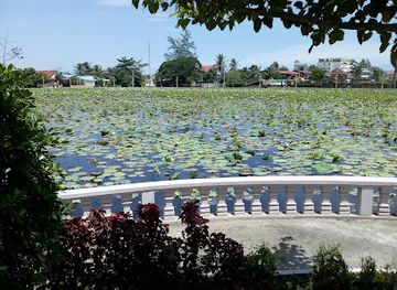 cambodia/kampot/attraction/lotus-pond