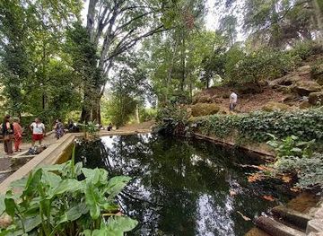 portugal/costa-vicentina/attraction/caldas-de-monchique