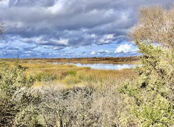 california/manteca/attraction/san-joaquin-river-national-wildlife-refuge