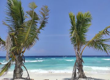 maldives/ukulhas/attraction/beach-sea-star