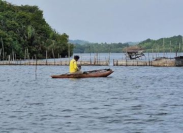 sri-lanka/unawatuna/attraction/madu-river-safari-nilwala-boat-safari