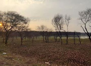 india/bhopal/attraction/bhoj-wetland