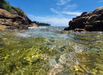 sri-lanka/trincomalee/attraction/coral-beach