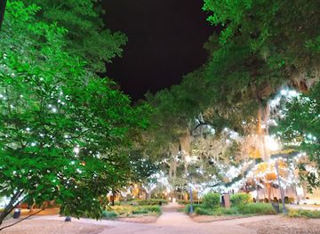 florida/tallahassee-area/attraction/ponce-de-leon