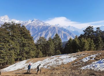 india/auli/attraction/gorson-bugyal