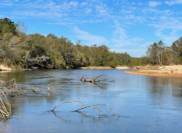 louisiana/northshore/attraction/bogue-chitto-state-park