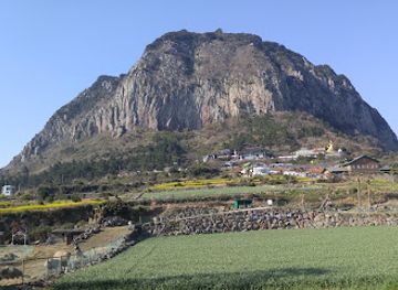 south-korea/jeju-city/jungmun/attraction/jungmun-tourist-complex