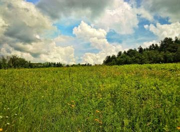 massachusetts/berkshires/attraction/questing