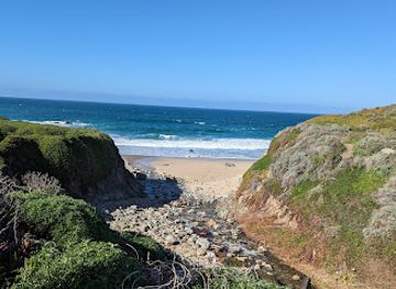 california/big-sur/attraction/calla-lily-valley